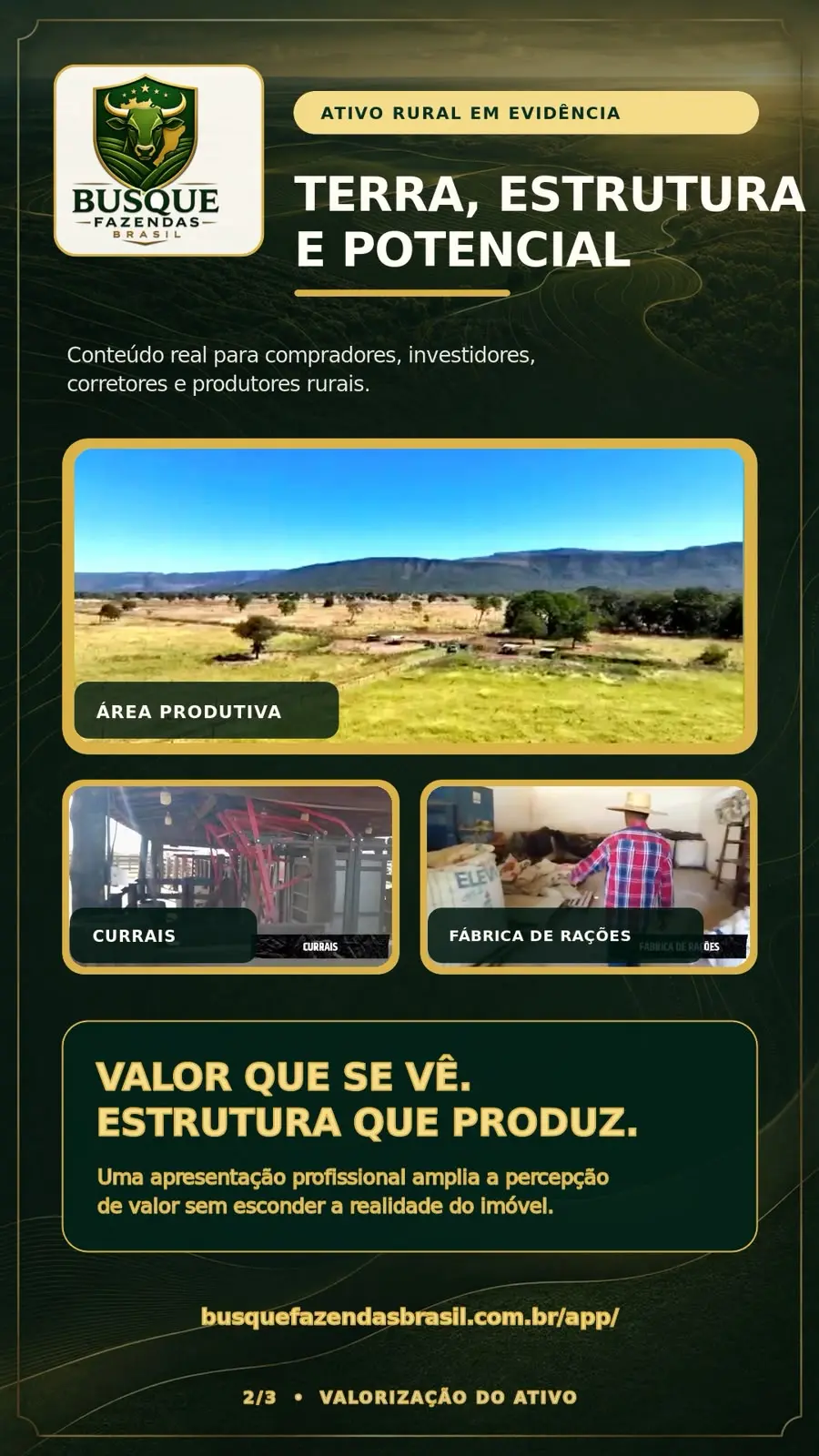 Propiedad rural en Brasil presentada a compradores de América Latina
