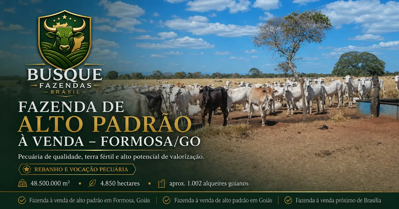 Rebanho e estrutura de manejo