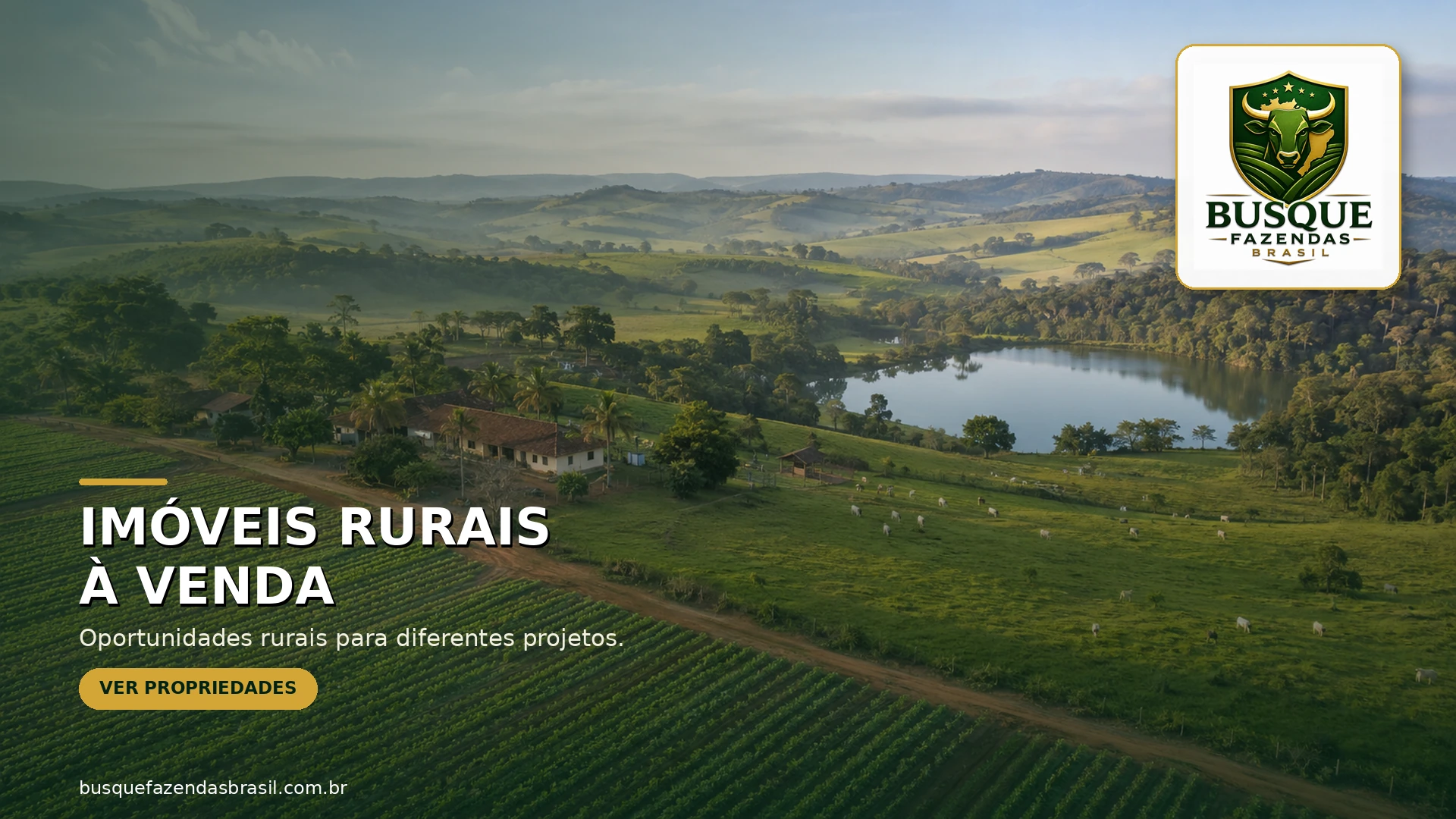 Imóveis rurais à venda