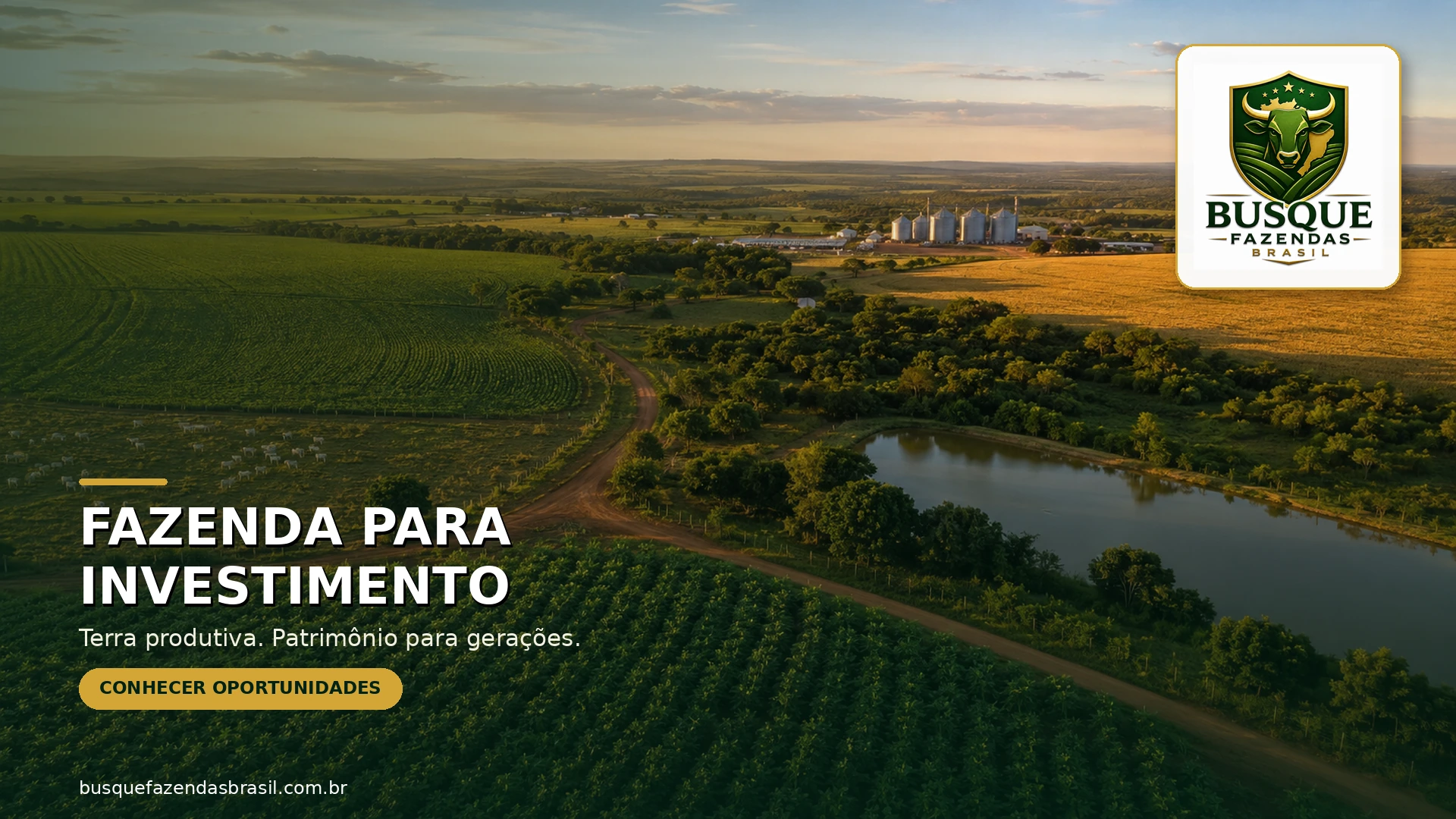 Fazenda para investimento