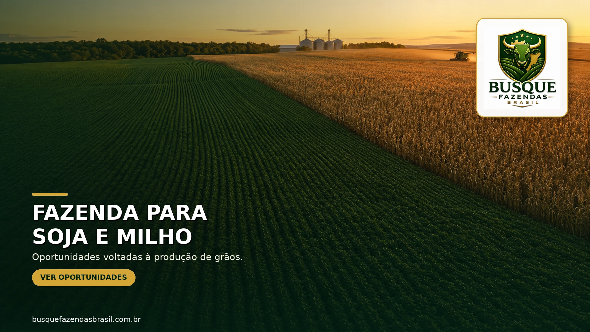 Fazendas para soja e milho