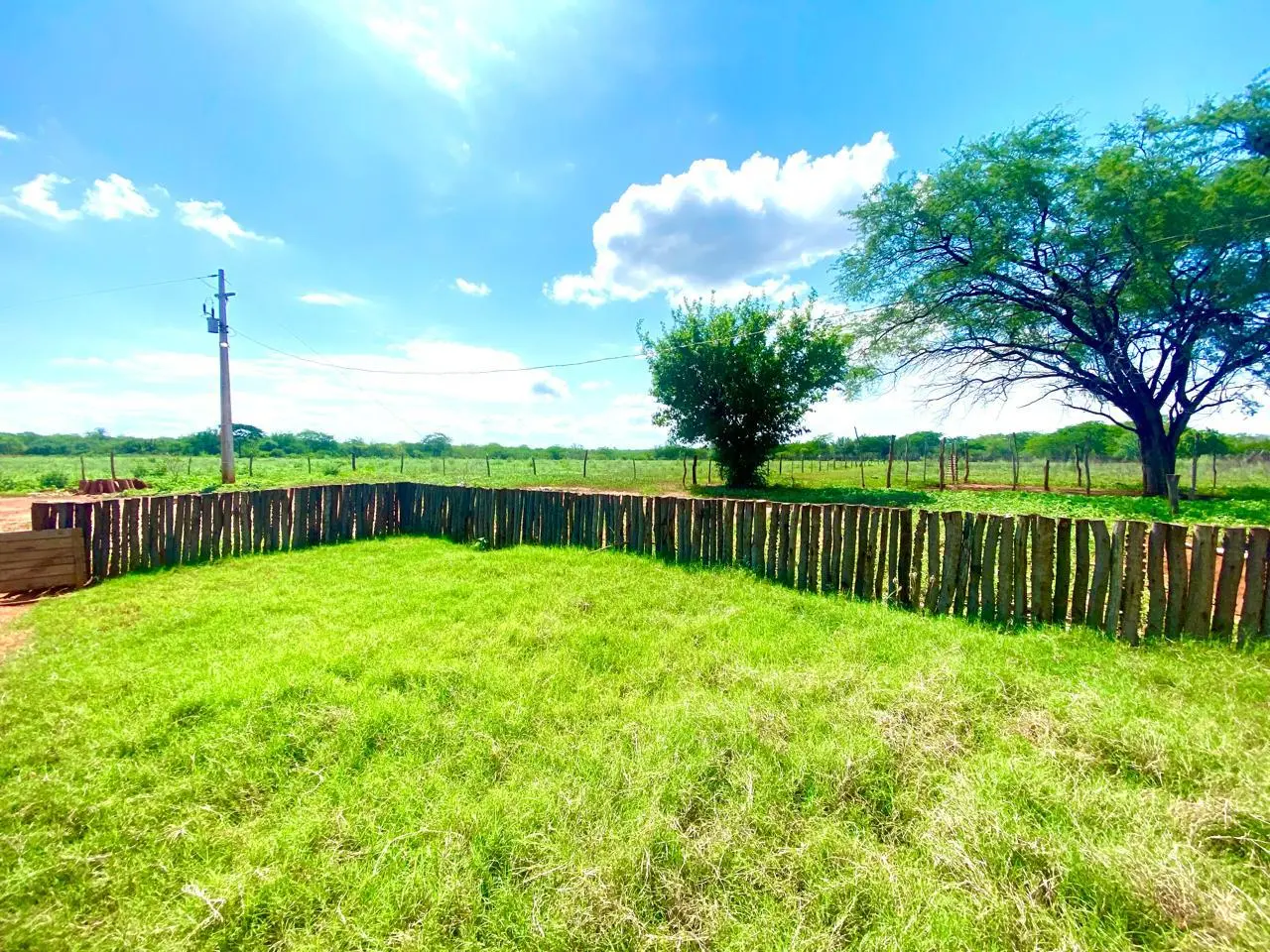Área verde cercada com árvores e estrutura elétrica