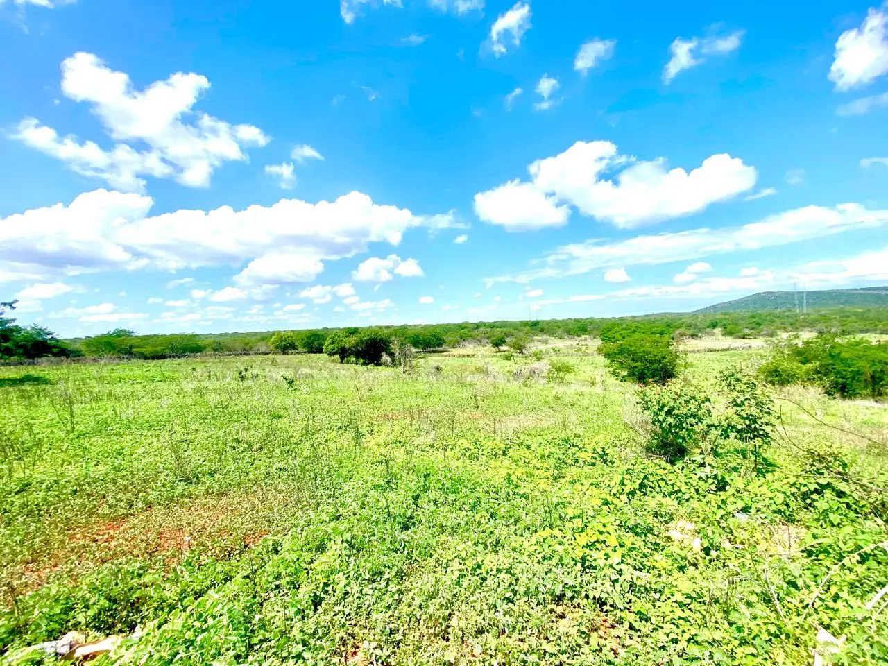 Vista panorâmica da vegetação e relevo da propriedade